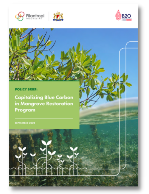 Capitalizing Blue Carbon in Mangrove Restoration Program